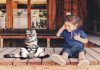 Gatti e bambini: regole di convivenza Gatti e bambini: regole di convivenza