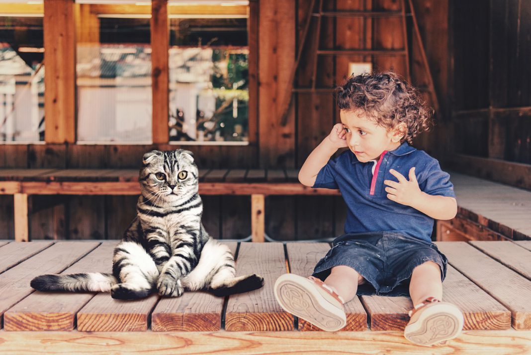 Gatti e bambini: regole di convivenza