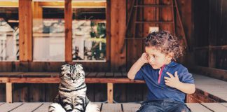 Gatti e bambini: regole di convivenza Gatti e bambini: regole di convivenza